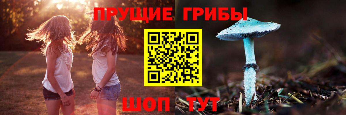 Галлюциногенные грибы мицелий Стерлитамак